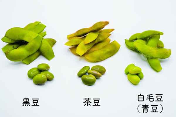 エダマメの種類（黒豆・茶豆・白系豆（青豆））