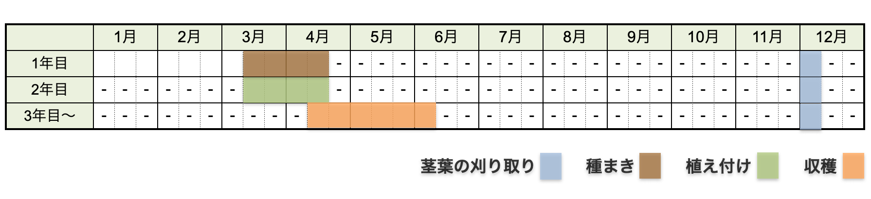 アスパラガスの栽培時期・栽培カレンダー