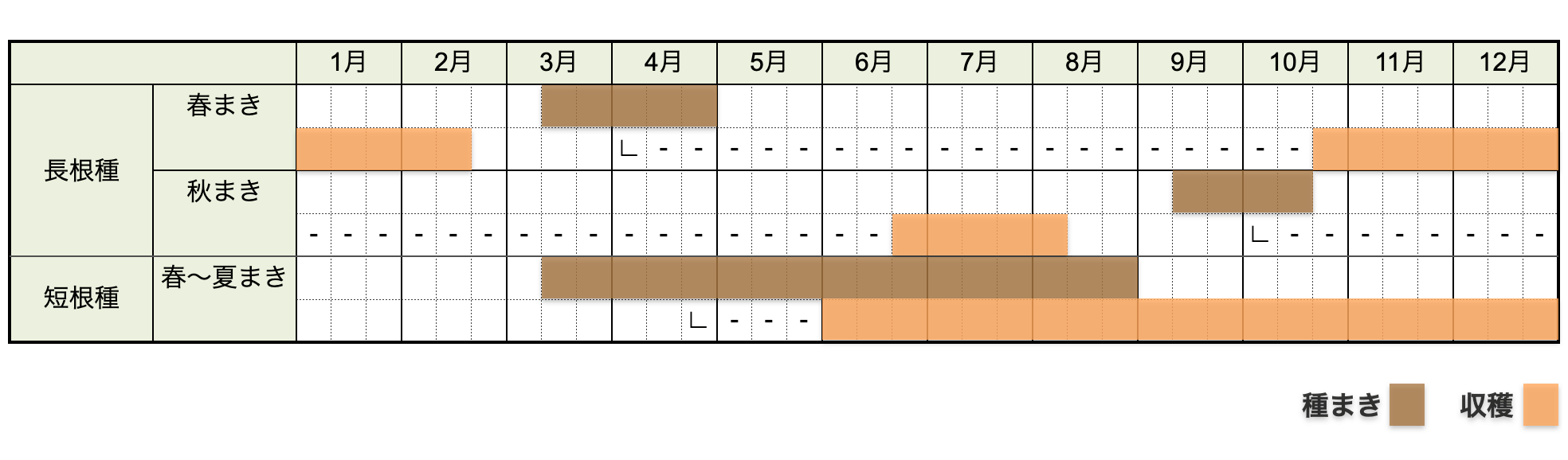 ゴボウの栽培時期・栽培カレンダー