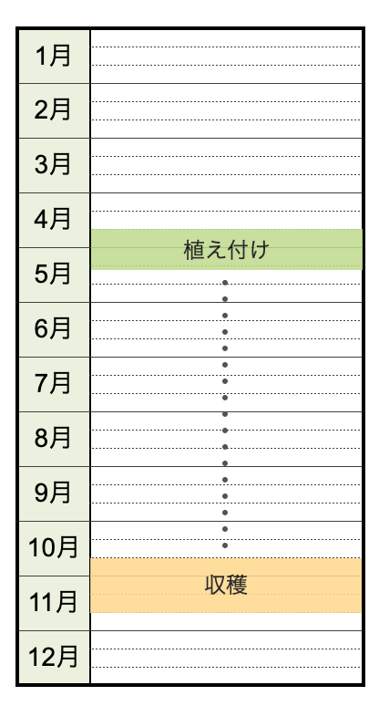 ショウガ(生姜)の栽培時期・栽培カレンダー