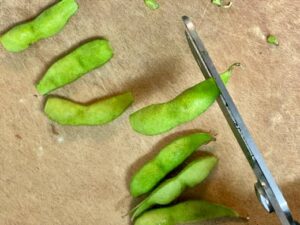 枝豆の茹で方 | やまむファーム