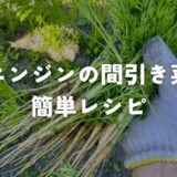 ニンジンの間引き菜の簡単レシピ