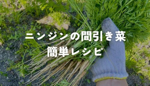 ニンジンの間引き菜の簡単レシピ
