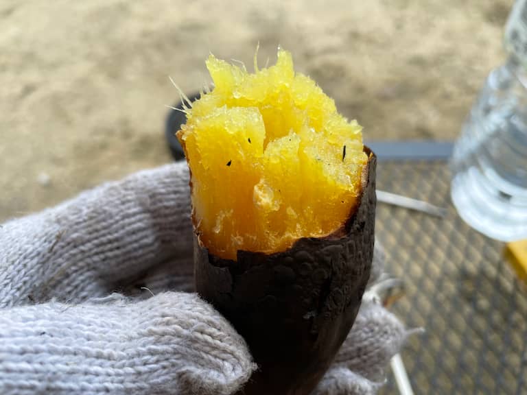 焚き火で焼き芋