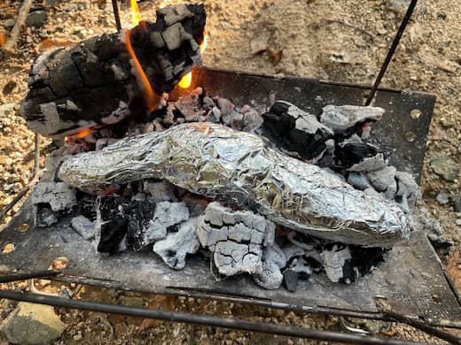 焚き火にサツマイモを入れる