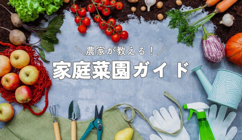 農家が教える！家庭菜園ガイド