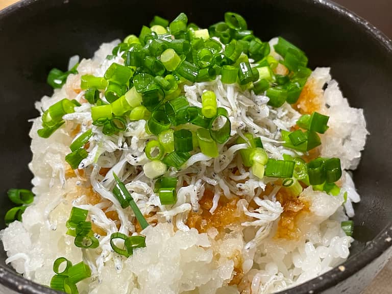 鬼おろししらす飯